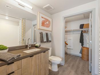 Under mount sinks in bathrooms and drop-in sinks in kitchens